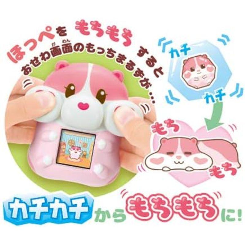 もっちまるず もっちりペット もっちまるず ベリー 92×95×55 もっちまるず