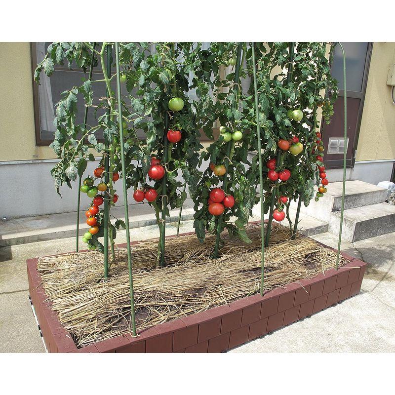 販売業者 システムファーム（組立て式花壇・菜園） 90cm×90cm×2段 セット チャコールブラウン