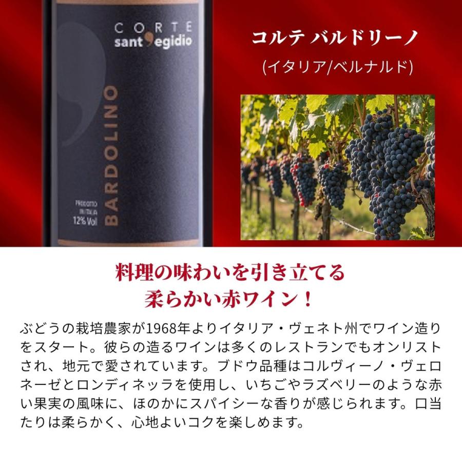 赤白ワイン 飲み比べ 10本セット 送料無料 蔵元直送 ワイン専門店が