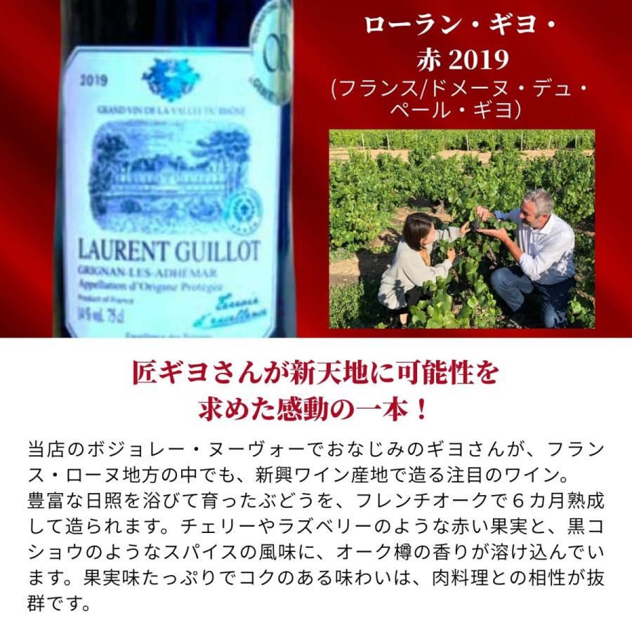 赤白ワイン 飲み比べ 10本セット 送料無料 蔵元直送 ワイン専門店が