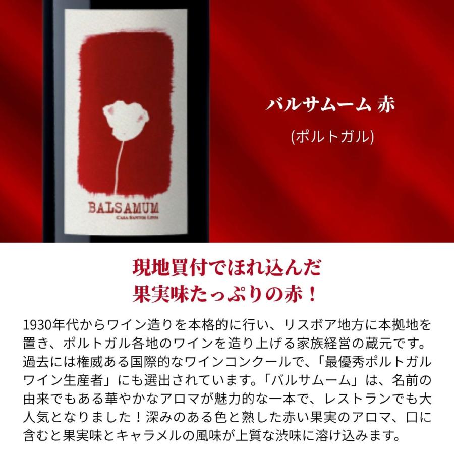 赤白ワイン 飲み比べ 10本セット 送料無料 蔵元直送 ワイン専門店が