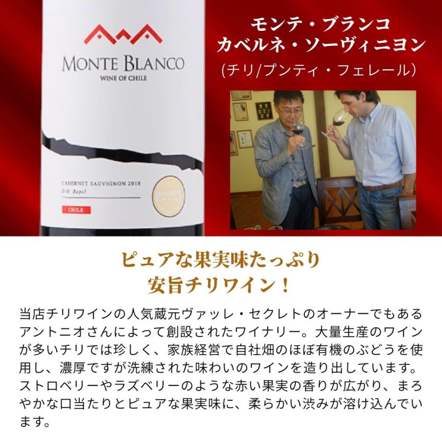 赤白ワイン 飲み比べ 10本セット 送料無料 蔵元直送 ワイン専門店が