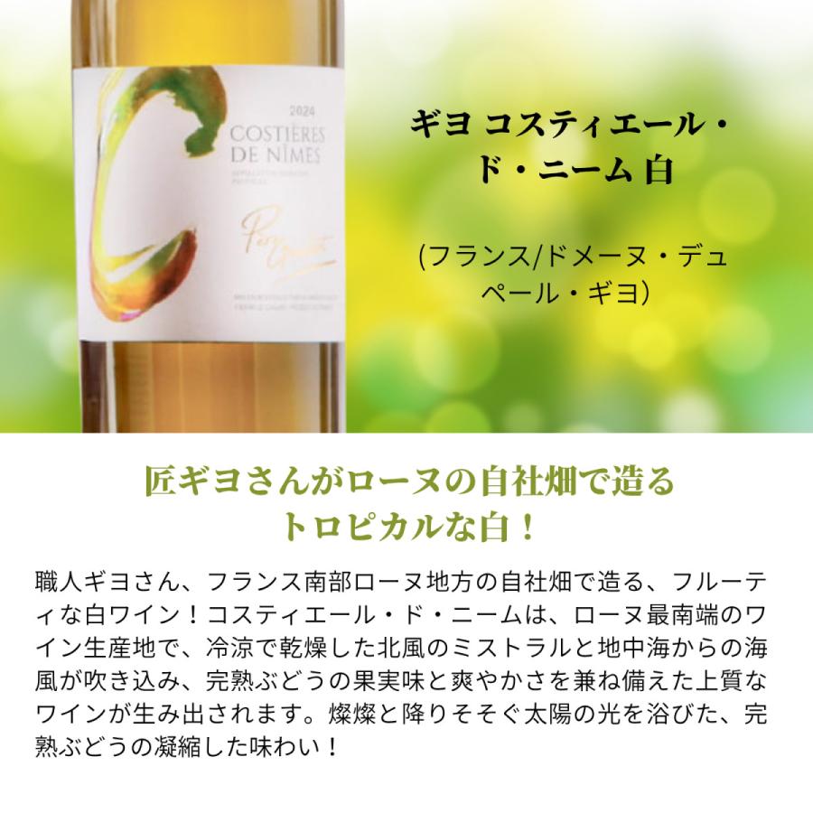 赤白ワイン 飲み比べ 10本セット 送料無料 蔵元直送 ワイン専門店が