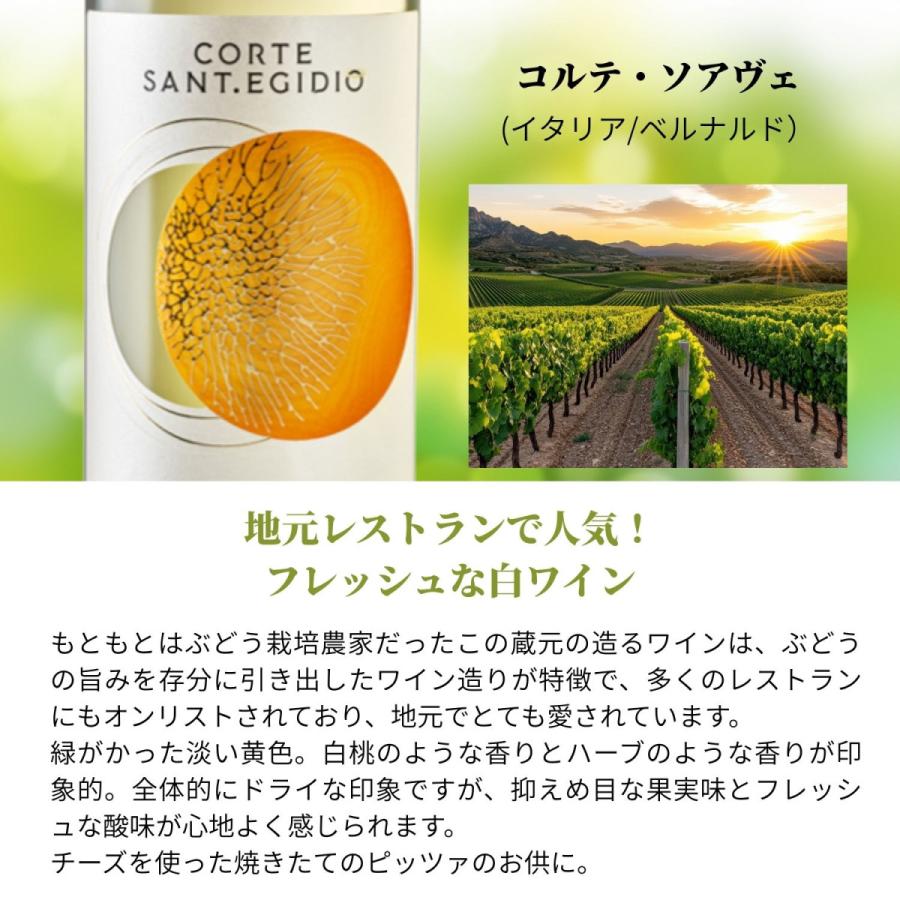赤白ワイン 飲み比べ 10本セット 送料無料 蔵元直送 ワイン専門店が