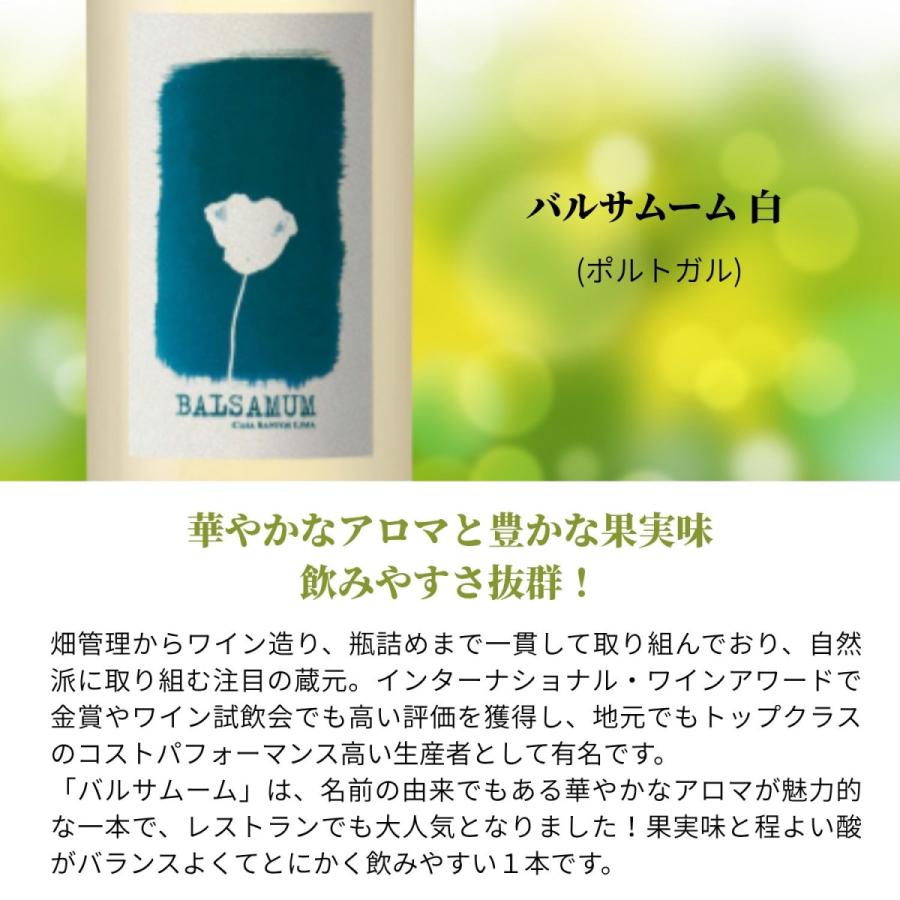 赤白ワイン 飲み比べ 10本セット 送料無料 蔵元直送 ワイン専門店が
