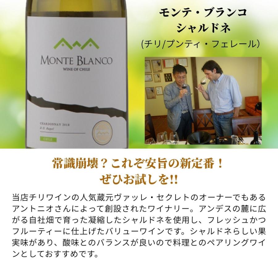 赤白ワイン 飲み比べ 10本セット 送料無料 蔵元直送 ワイン専門店が