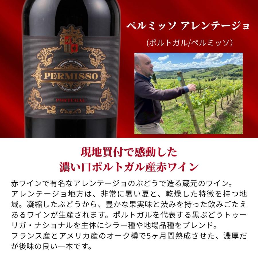 ワイン ワインセット 6本 濃厚赤 送料無料 コク旨赤ワイン6本セット