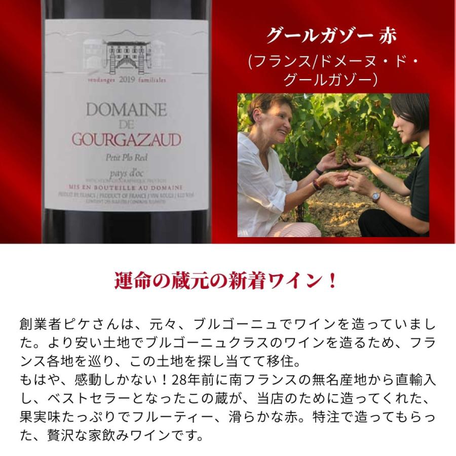 ワイン ワインセット 6本 濃厚赤 送料無料 コク旨赤ワイン6本セット