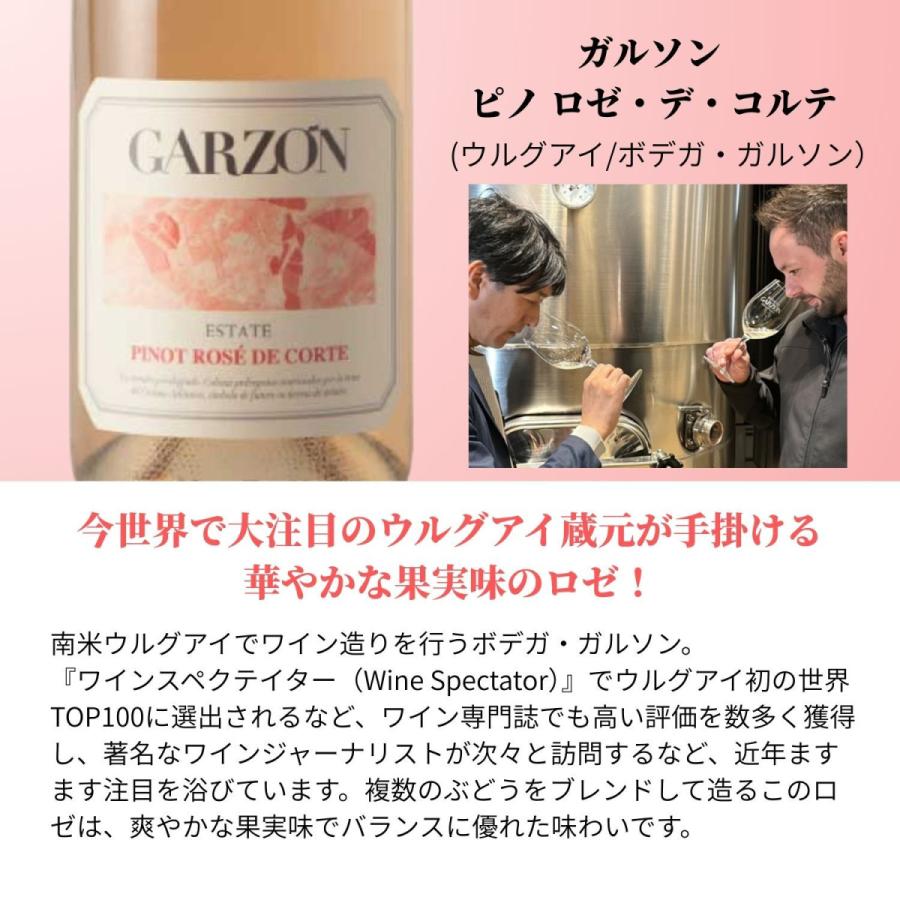 ピノ・ノワール　ロゼ　5本セット TK ピノ・ノワール ロゼ｜ワインとその他の酒類｜モトックス