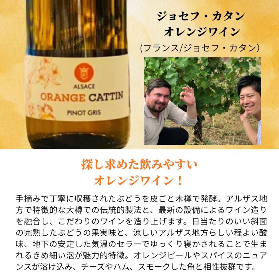 ワイン ワインセット ロゼ＆オレンジ 5本 飲み比べ 蔵元直送 送料無料