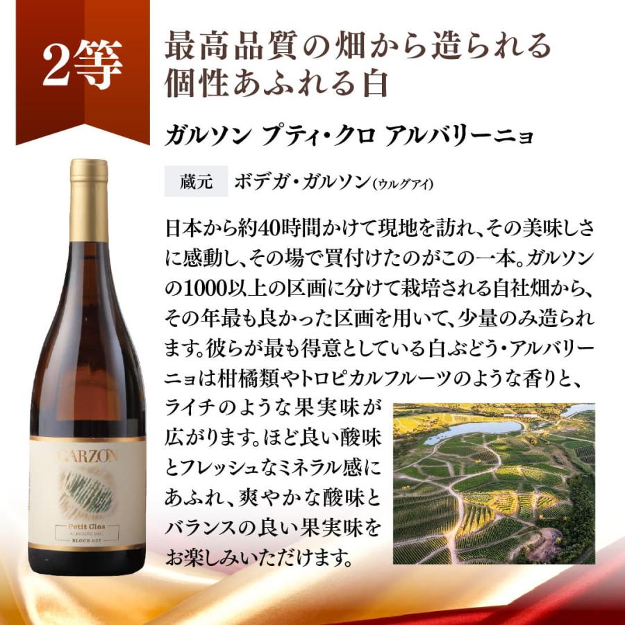 蔵直(R)プレミアムワインくじ ワイン 福箱 福袋 赤ワイン 白ワイン 赤白 濃厚 ナパ x-26wwc 爆買 |  | 10