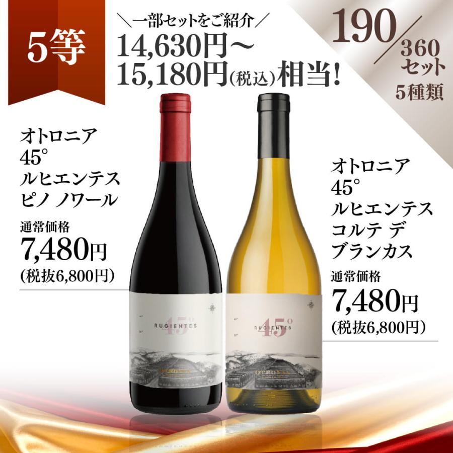 蔵直(R)プレミアムワインくじ ワイン 福箱 福袋 赤ワイン 白ワイン 赤白 濃厚 ナパ x-26wwc 爆買 |  | 17