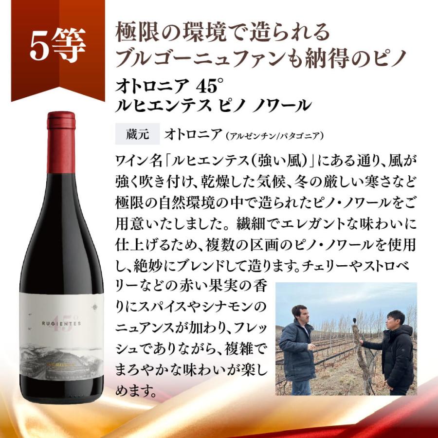 蔵直(R)プレミアムワインくじ ワイン 福箱 福袋 赤ワイン 白ワイン 赤白 濃厚 ナパ x-26wwc 爆買 |  | 18