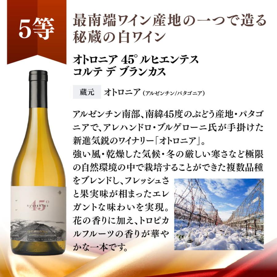 蔵直(R)プレミアムワインくじ ワイン 福箱 福袋 赤ワイン 白ワイン 赤白 濃厚 ナパ x-26wwc 爆買 |  | 19