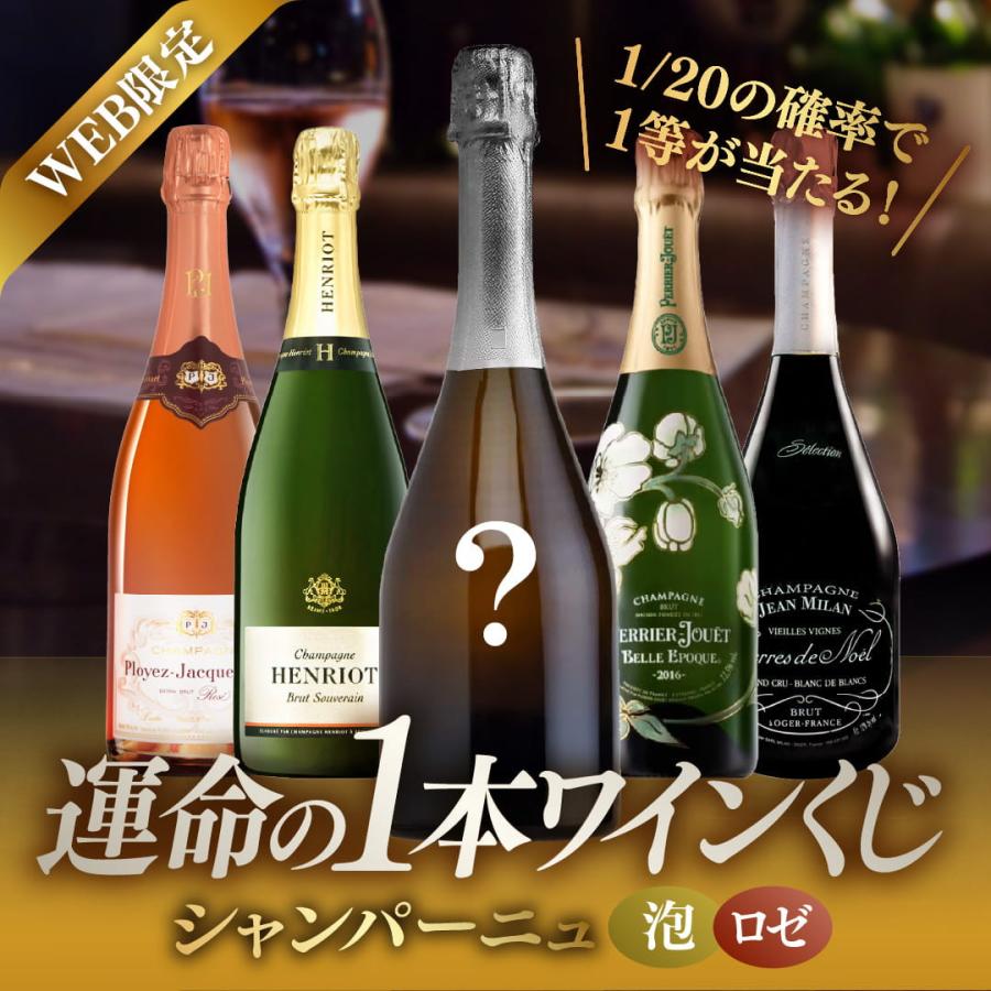 運命の一本ワインくじ シャンパーニュ編 ワイン シャンパン スパークリング 福箱 福袋  x-26wk2 爆買 | 