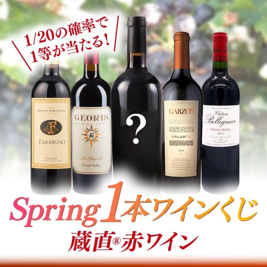 1等は28,380円相当！蔵直(R)赤ワインくじ ワイン 赤 赤ワイン くじ 福袋 福箱 おすすめ 人気 お楽しみ x-26wk3 爆買 | 