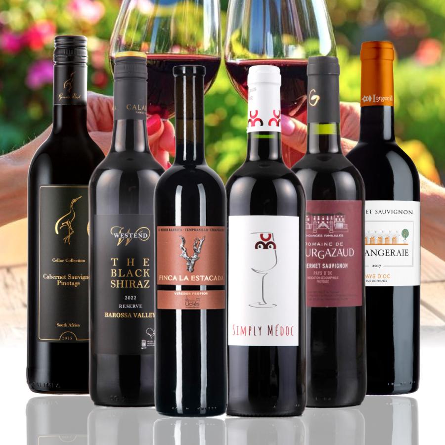 ワイン セット 赤ワイン 6本 飲み比べ 蔵元直送 送料無料 7月