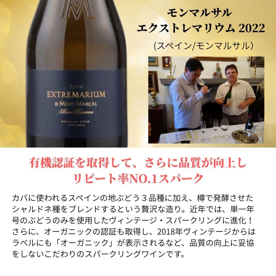 送料無料 ワイン ワインセット まとめ買い 12本 モンマルサル エクストレマリウム 2022 スパークリングワイン 辛口 スペイン カバ カヴァ X-M1210の画像