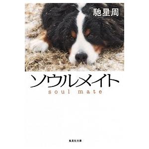 ソウルメイト   /集英社/馳星周 (文庫) 中古｜vaboo