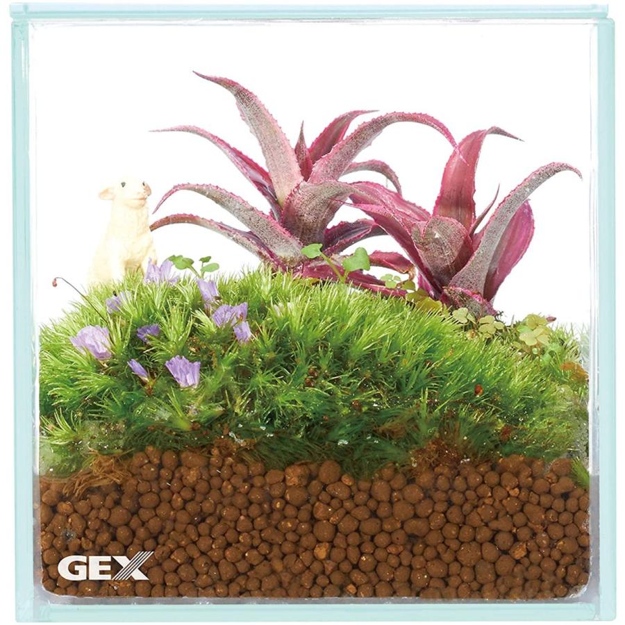 ジェックス 水槽 グラステリアフィット100cube フタ バックスクリーン付 フィットガラス製法 ミスト式対応 100cube Carrot Fr