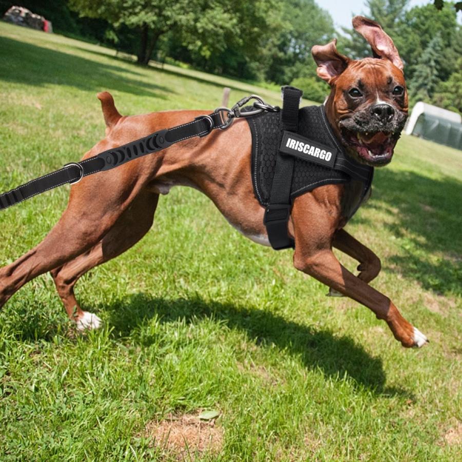 Iriscargo 犬用リード 犬 伸縮リード ペット用 牽引ロープ リード 軽量 中型犬 反射光 高強度 直営店 小型犬 大 滑り止め 愛犬散歩用