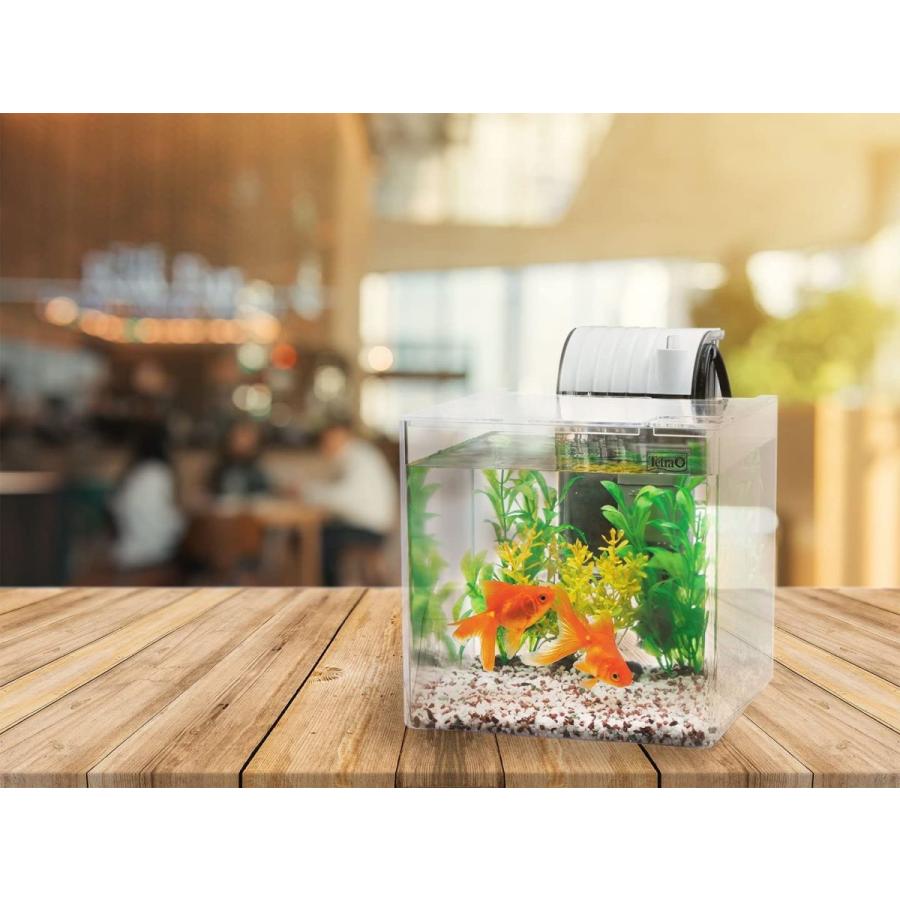 テトラ 素敵でユニークな Tetra Sf 17gf 静かな金魚飼育セット