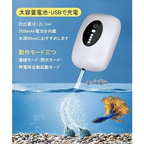 エアーポンプ 釣り 水槽 ポンプ Usb充電 2600mah電池 消音30db 携帯式 酸素提供ポンプ 連続25時間 間欠モードでは50時間動作できま K09gfnsz79 Valentine 通販 Yahoo ショッピング