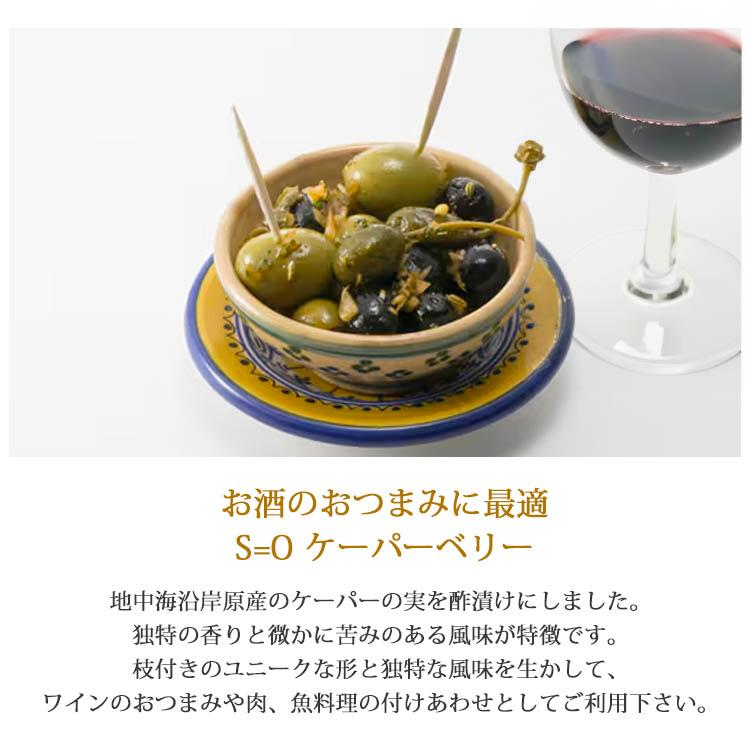 ケーパーベリー 酢漬け ケッパー カッペリ | ブランド登録なし | 01