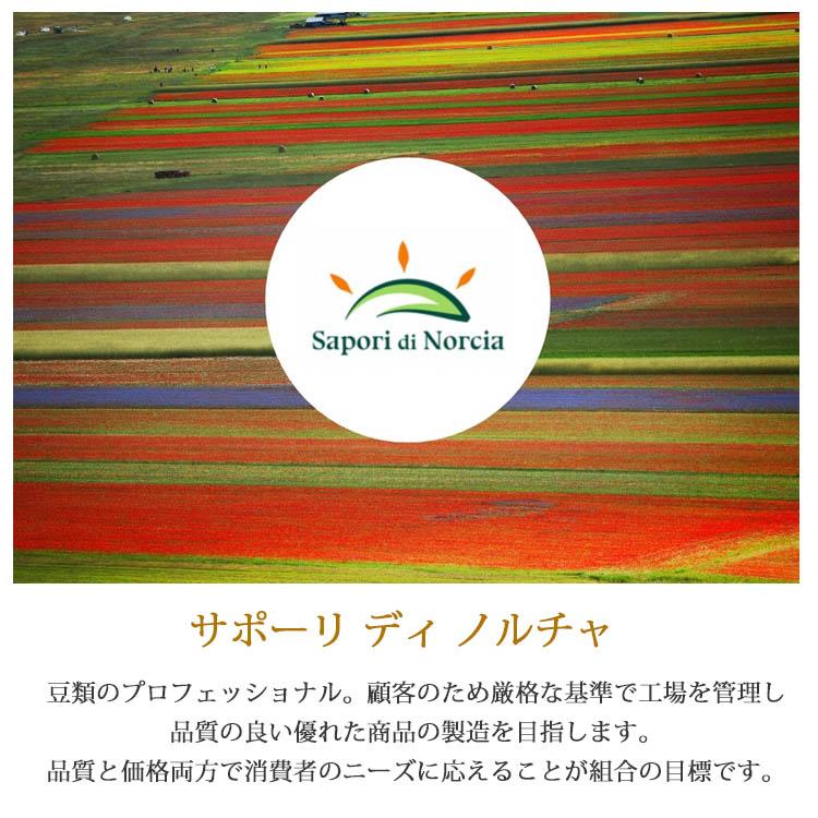 そら豆 ファーヴェ Sapori di Norcia サポリーディ ノルチャ オーガニック 輸入食材 イタリアン スープ 乾燥豆 乾物 | ブランド登録なし | 03