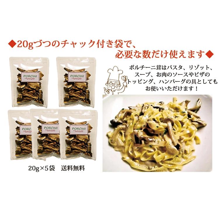 イタリア産 乾燥 ポルチーニ茸 100g 20g×5袋 メール便 パスタ 生 