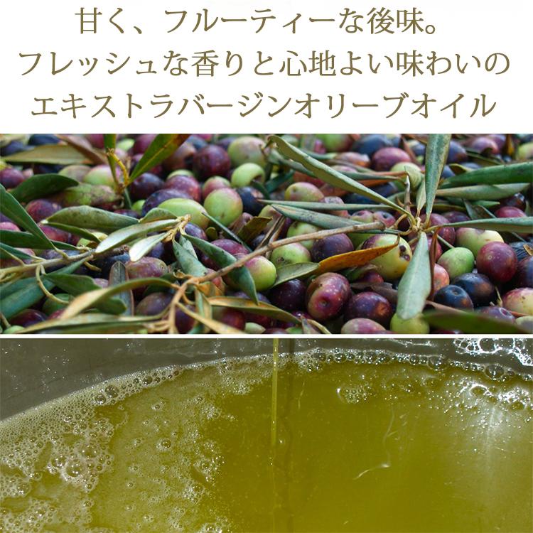 アルドイノ社 エキストラバージンオリーブオイル フルクトゥス 100ml | ARDOINO | 03