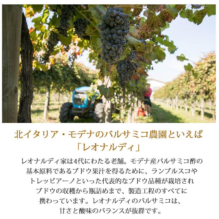 白バルサミコ バルサマ 4年熟成 500ml レオナルディ社 Leonardi イタリア産 | ブランド登録なし | 02