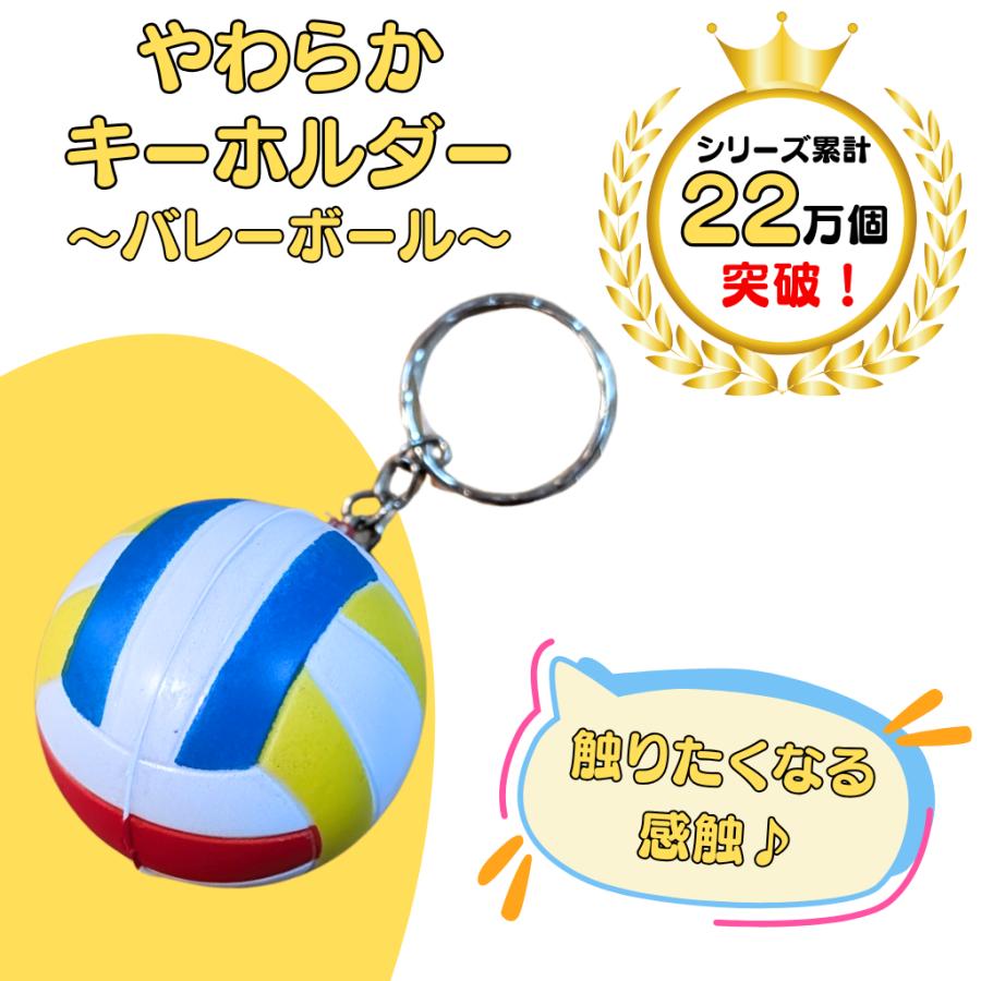 バレーボールグッズ　キッズ バレー グッズ 雑貨 プレゼント イベント 卒業 部活 ギフト 記念品