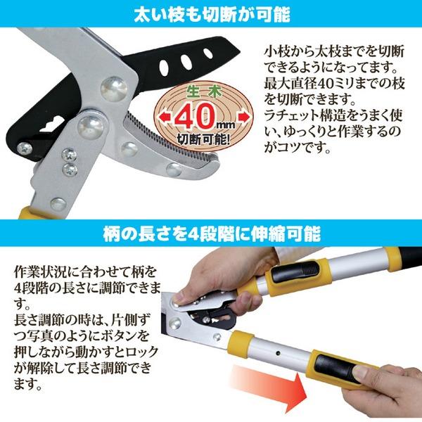 97%OFF!】 高儀 Sun Garden ラチェット式 太枝切鋏 伸縮タイプ 約φ40mm 高儀 Sun Garden ラチェット式 太枝切鋏 ミニ 約φ40mm