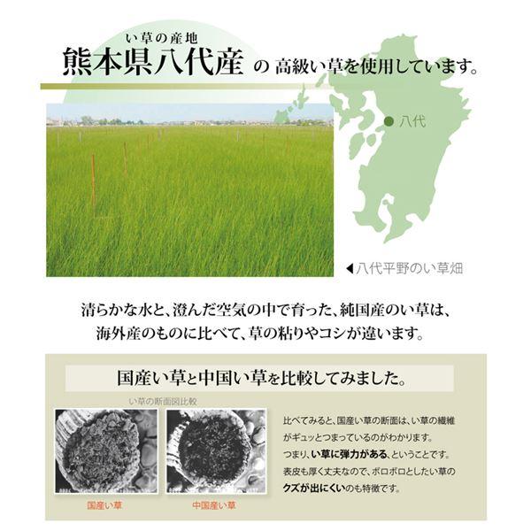 い草 上敷き/ラグマット 〔麻綿織 江戸間2畳 約176×176cm〕 抗菌 防臭 調湿 消臭 日本製 熊本県八代産イ草使用 〔リビング〕 上敷き/ラグマット 江戸間2畳 〔麻綿織 約176×176cm〕 抗菌 防臭 調湿 消臭 日本製 熊本県八代産イ草使用 い草 フロアマット ラグカーペット 麻綿織