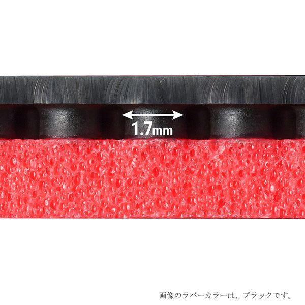 バタフライ（Butterfly） 裏ラバー DIGNICS 05（ディグニクス 05） 06040 ブラック A（厚） ディグニクス Butterfly 裏ラバー DIGNICS バタフライ ブラック 厚