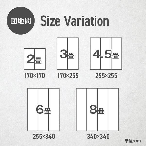 イケヒコ DXピーア い草カーペット 市松柄 本間4.5畳 (約286×286cm