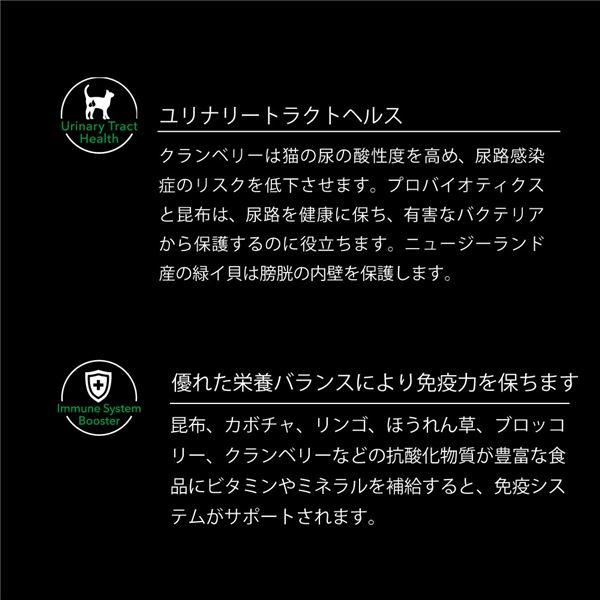 キャットフード ニュートライプ グレインフリードライ キャット ビーフ＆チキンwithグリーントライプ 猫 餌 猫餌 猫の餌 1.8kg3セット キャット ニュートライプ ビーフ＆チキンwithグリーントライプ GFドライ NUT3504