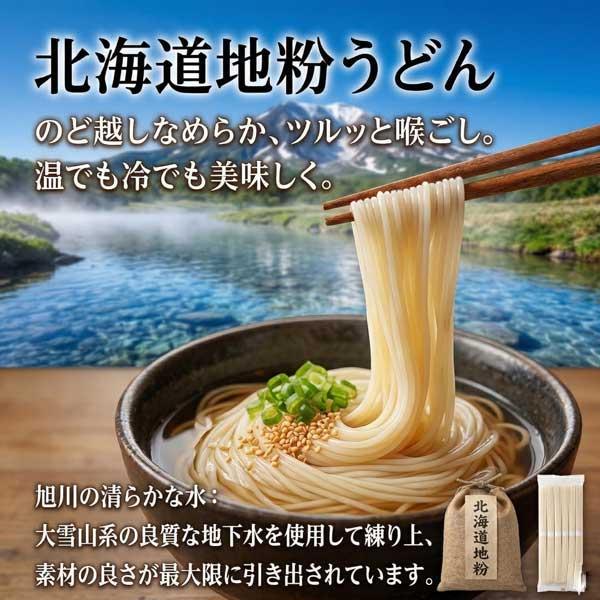 600円ポッキリ 600えん以下 送料無 食品 うどん 乾麺 200g×1袋 北海道地粉 袋麺 国産小麦 藤原製麺 | 藤原製麺 | 04