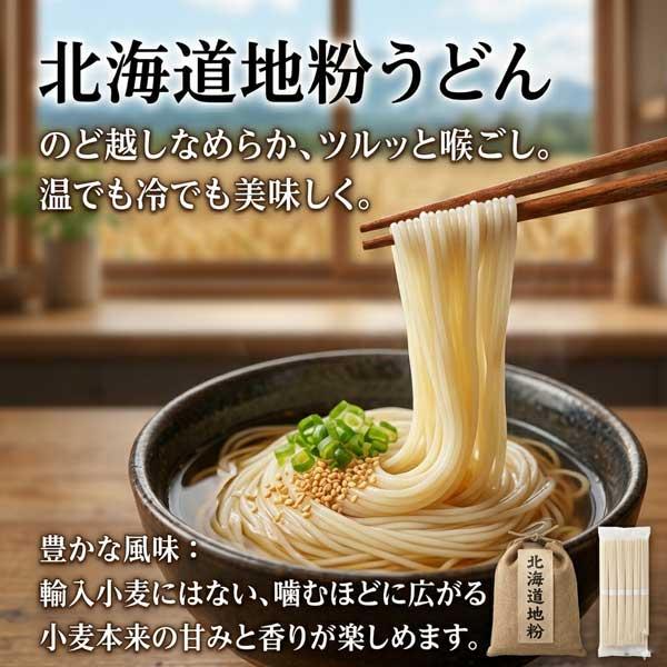 800円ポッキリ 800えん以下 送料無 食品 うどん 乾麺 200g×2袋 北海道地粉 袋麺 国産小麦 藤原製麺 | 藤原製麺 | 03