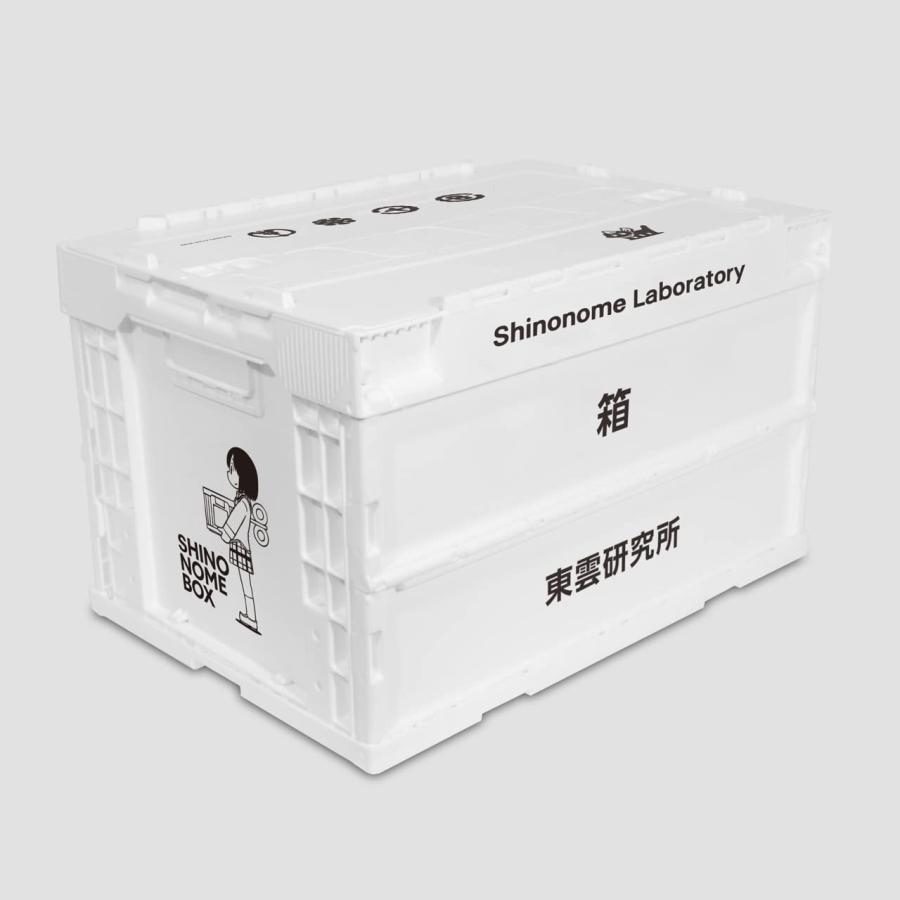 日常 東雲研究所折りたたみコンテナ デコレーション用A4サイズGG3耐