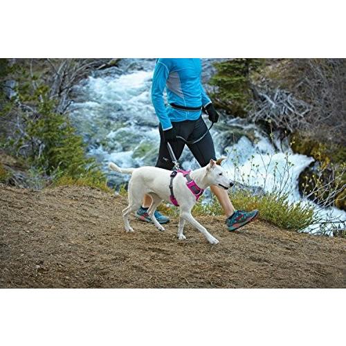 激安特価 Ruffwear Front Range Harness 犬のハーネス Xs ピンク 数量限定 Stevenlaurent Com Au