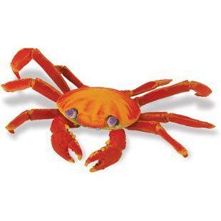 Safari 261729 Galapagos Sally Lightfoot Crab Animal Figure- Pack of 3 フィギュア 人形 おもちゃ