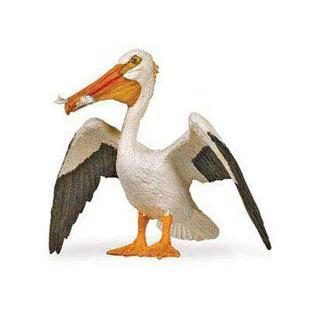 気質アップ Safari 2419 White Pelican Animal Figure Pack Of 12 フィギュア 人形 おもちゃ 流行に Smmacademy Ru