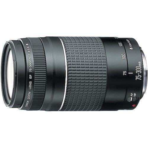 美品 Canon EF 75-300mm F4-5.6 USM 望遠ズームレンズ EF75-300mm f/4-5.6 III - キヤノンカメラミュージアム