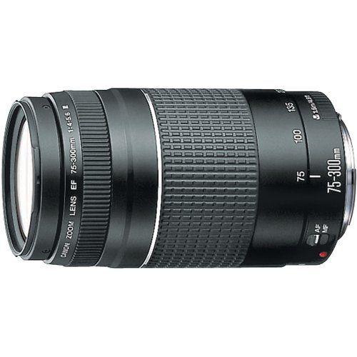 Canon EFレンズ EF75-300mm F4-5.6 IIIズームレンズ 望遠｜value-select｜02