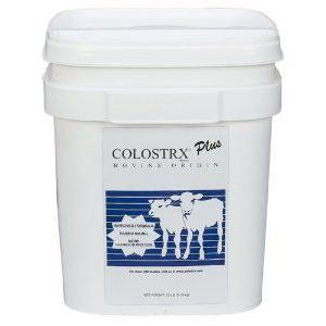 COLOSTRX PLUS 20DS/9.08KG SCCL Colostrx CS Colostrum Supplement | WRS