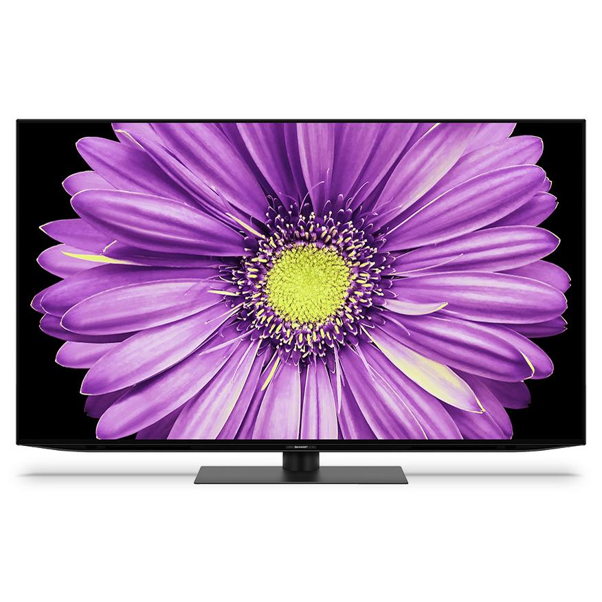 SHARP（シャープ） AQUOS OLED 4T-C55DQ2 [55インチ] 通常配送商品 