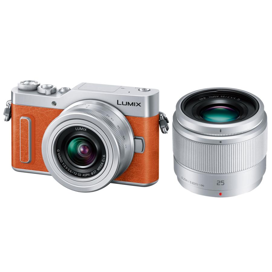 Panasonic パナソニック LUMIX DC-GF10W-D ダブルレンズキット 