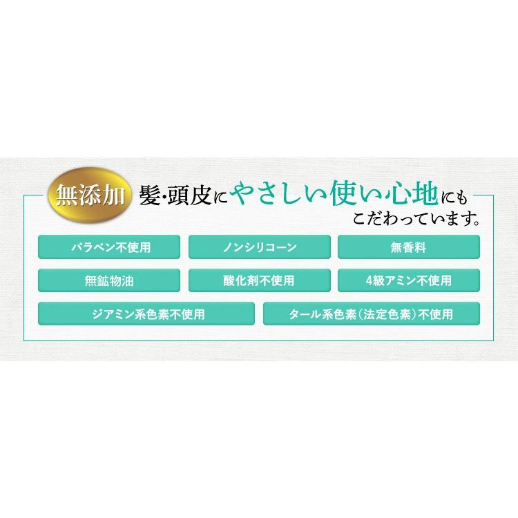 利尻 利尻ヘアカラートリートメント ブラック 200g【通常配送商品1